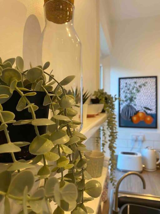 Garden Apartment, Central Harrogate With Parking Dış mekan fotoğraf