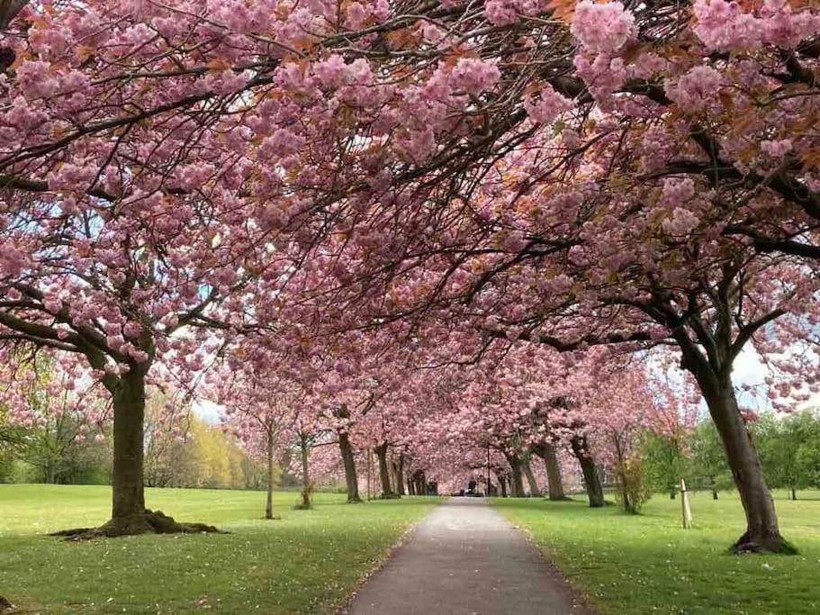 Garden Apartment, Central Harrogate With Parking Dış mekan fotoğraf